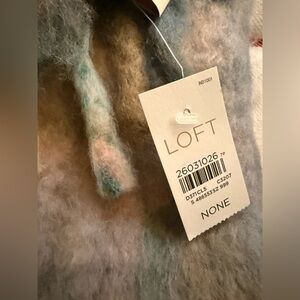 NWT Fabulous Ann Taylor Loft Mohair Blend Scarf (See Details) 76”x12”